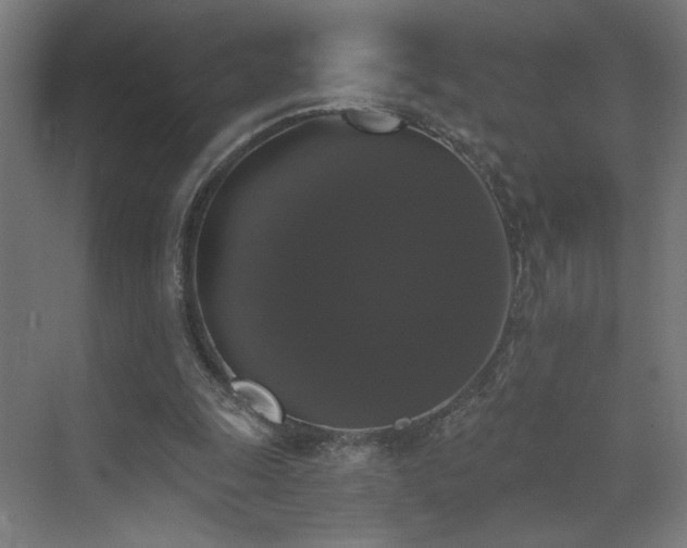 X0000072920247200607211108