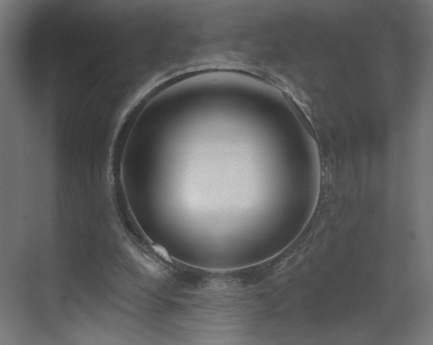 X0000072920248200607211108