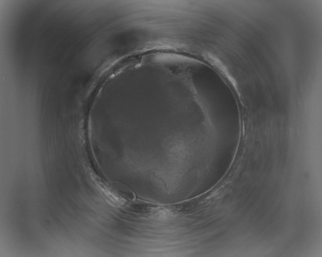 X0000072920249200607211108