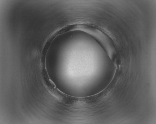 X0000072920252200607211108