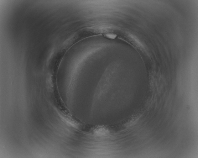 X0000072920258200607211109