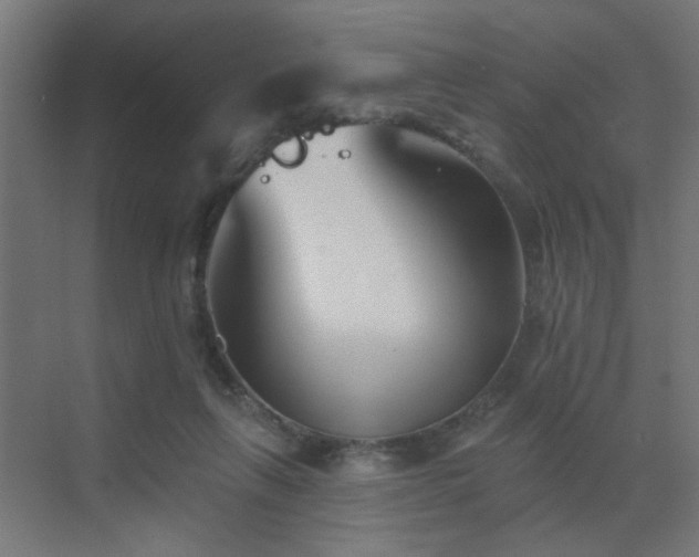 X0000072920263200607211109