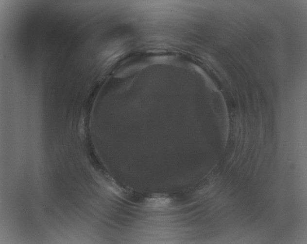 X0000072920266200607211109