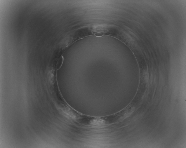 X0000072920271200607211109