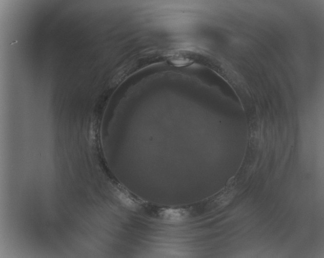 X0000072920277200607211109