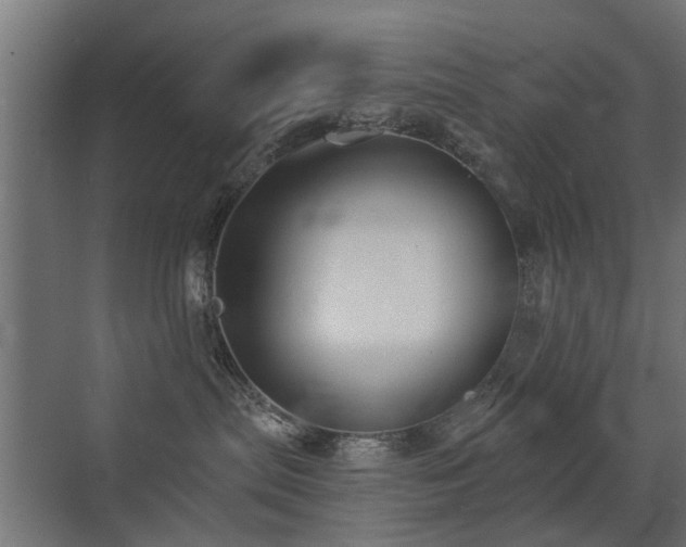 X0000072920287200607211109