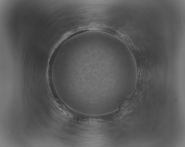 X0000072920292200607211108