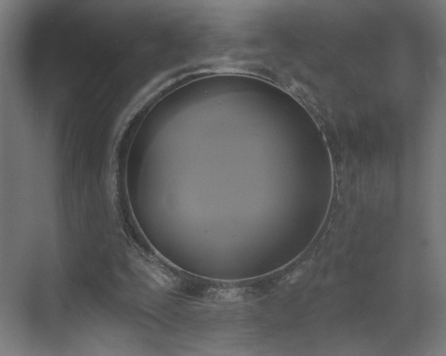 X0000072920295200607211108
