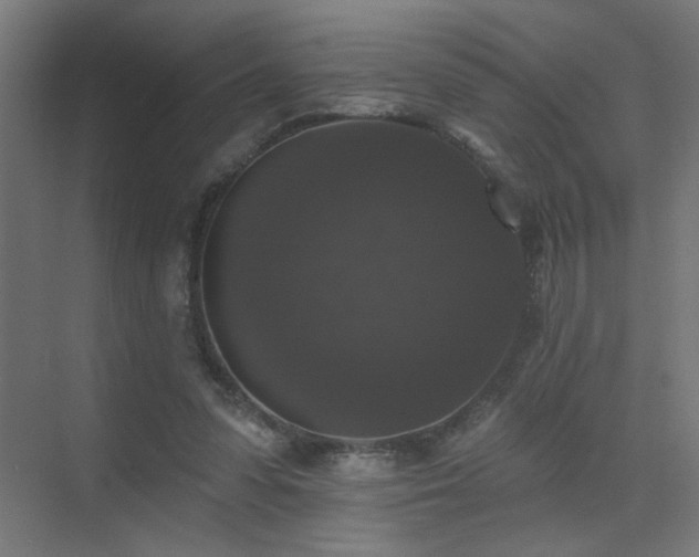 X0000072920303200607211108