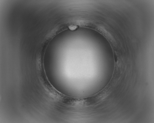 X0000072920306200607211108