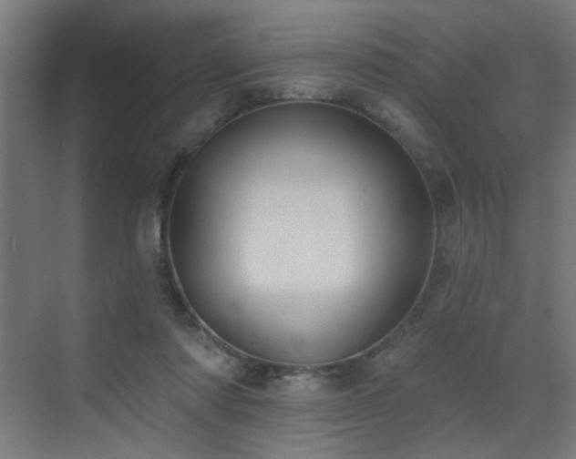 X0000072920310200607211108