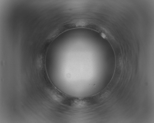 X0000072920311200607211108