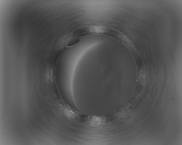 X0000072920330200607211107