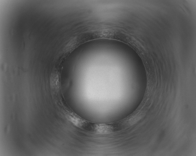 X0000072920336200607211107