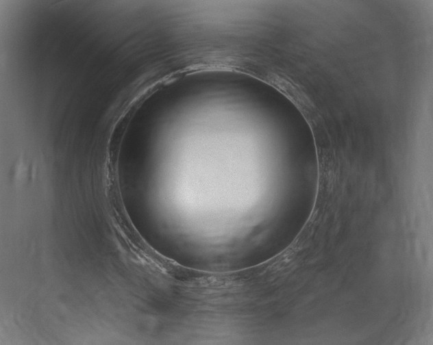 X0000072920338200607211107