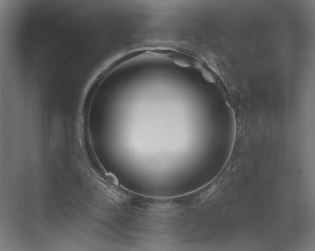 X0000072920342200607211107
