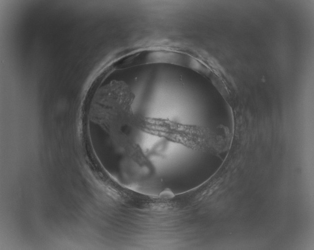 X0000072920344200607211107