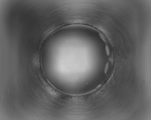 X0000072920345200607211107