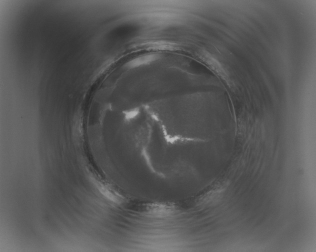 X0000072920347200607211107