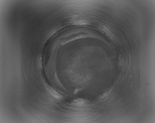 X0000072920351200607211107