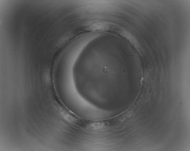 X0000072920353200607211107