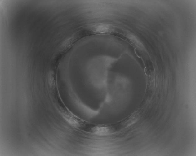 X0000072920361200607211107