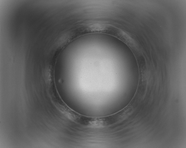 X0000072920362200607211107