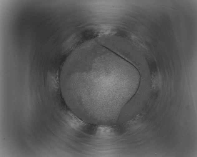 X0000072920376200607211107