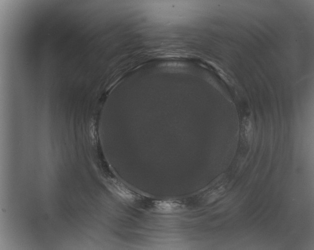 X0000072920380200607211107