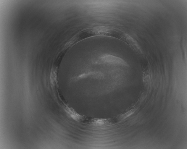 X0000072920382200607211107
