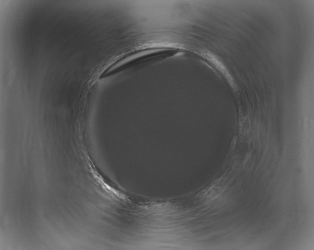 X0000072920385200607211107