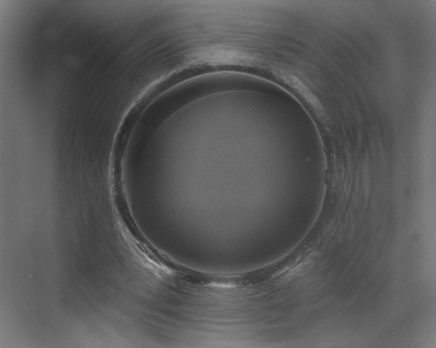 X0000072920391200607211106
