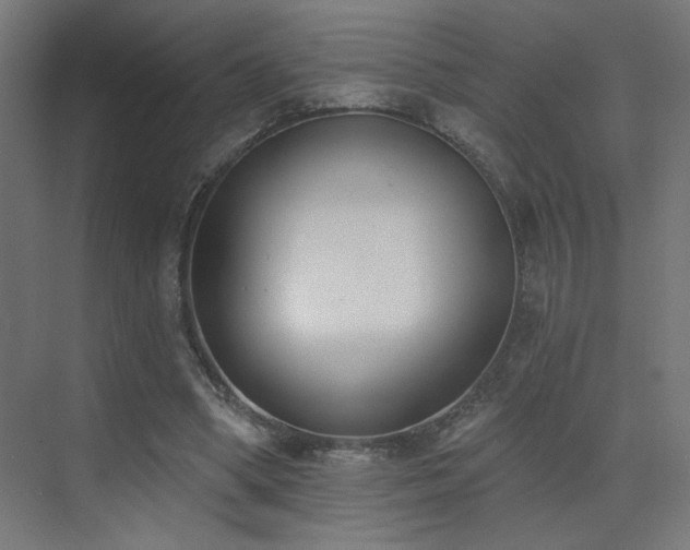 X0000072920394200607211106