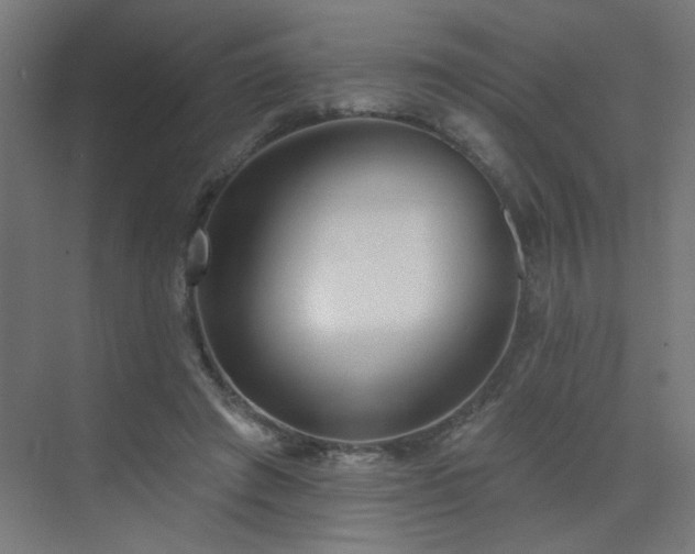 X0000072920401200607211106