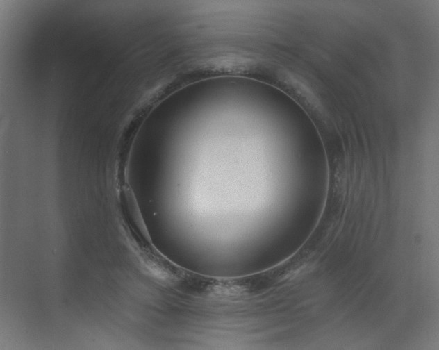 X0000072920403200607211106