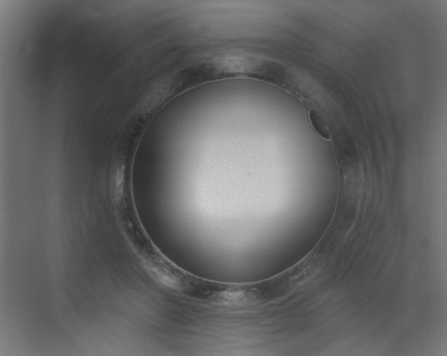 X0000072920406200607211106