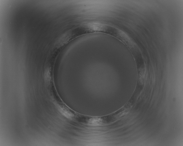 X0000072920410200607211106