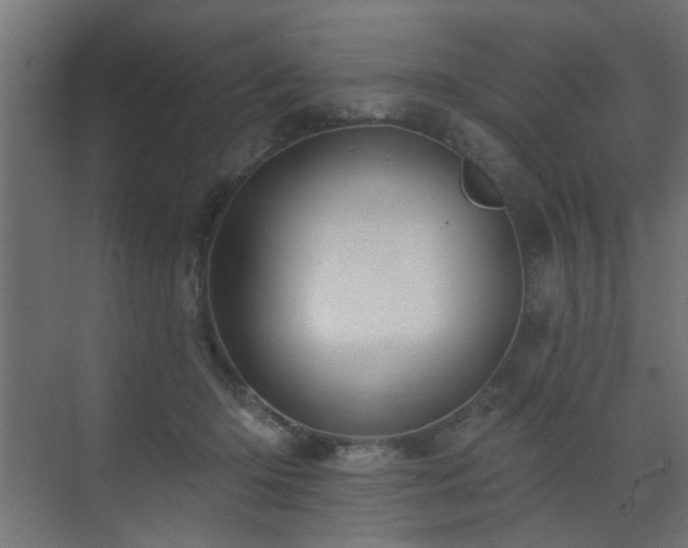 X0000072920414200607211106