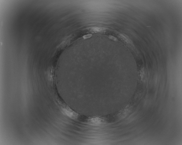 X0000072920423200607211106