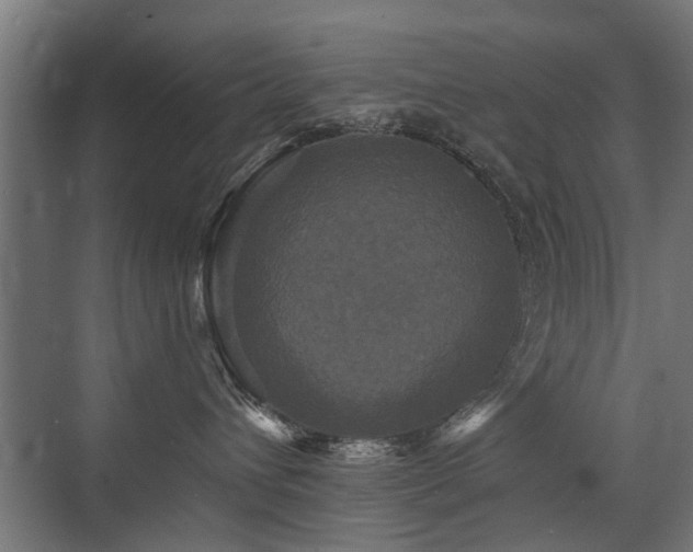 X0000072920432200607211106