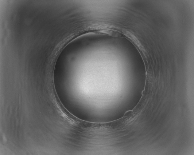 X0000072920433200607211105