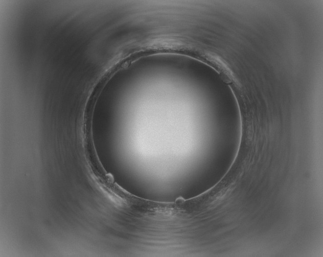 X0000072920439200607211105