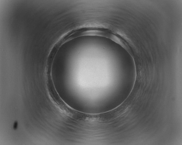 X0000072920440200607211105