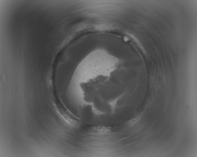 X0000072920443200607211105