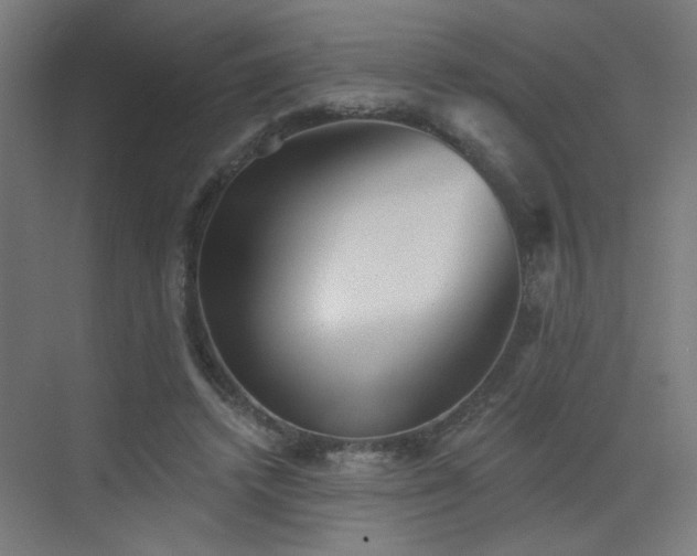 X0000072920448200607211105