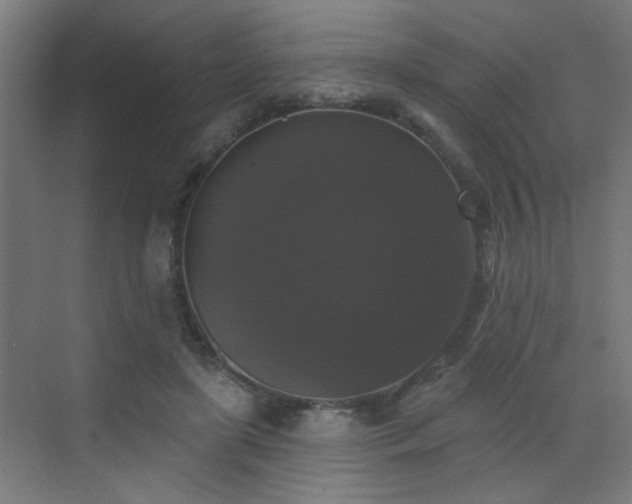 X0000072920451200607211105