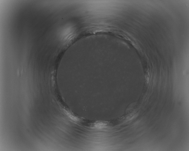 X0000072920462200607211105