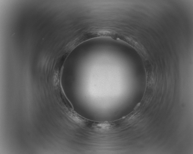 X0000072920478200607211106