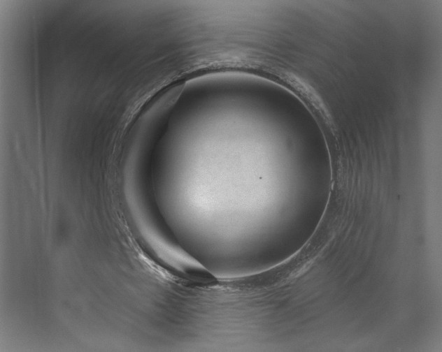 X0000072920481200607211105