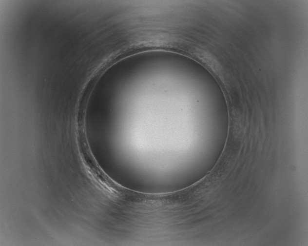 X0000072920482200607211105